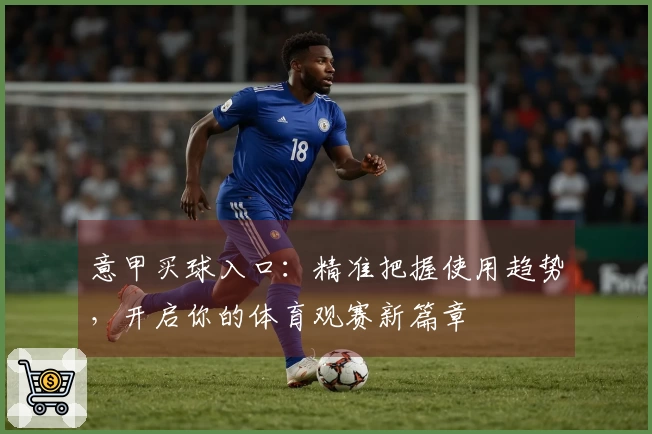 意甲买球入口：精准把握使用趋势，开启你的体育观赛新篇章