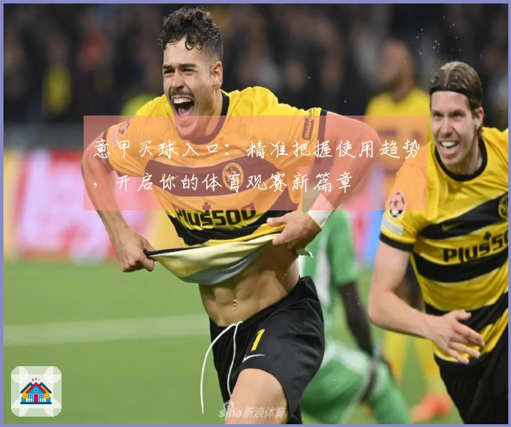 意甲买球入口：精准把握使用趋势，开启你的体育观赛新篇章