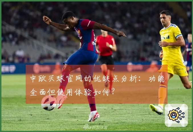 中欧买球官网的优缺点分析：功能全面但使用体验如何？