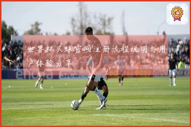 世界杯买球官网注册流程说明与用户体验分享